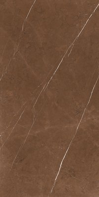 Cluster Brown 800x1600mm High Glossy Porcelain Tile