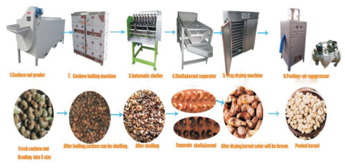 High Efficiency Full Automatic Cashew Processing Machine