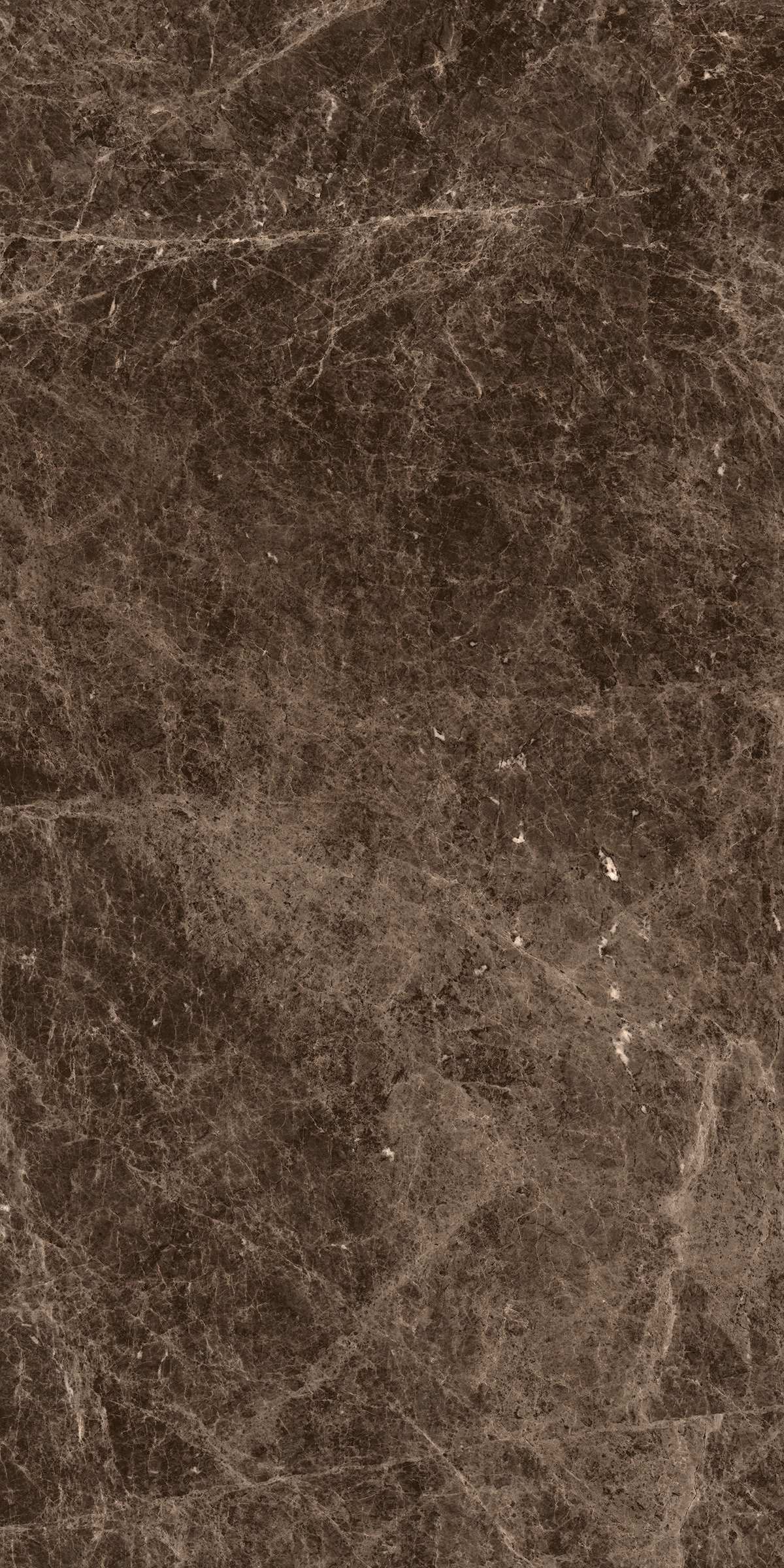 Emperador Choco 800x1600mm High Glossy Porcelain Tile