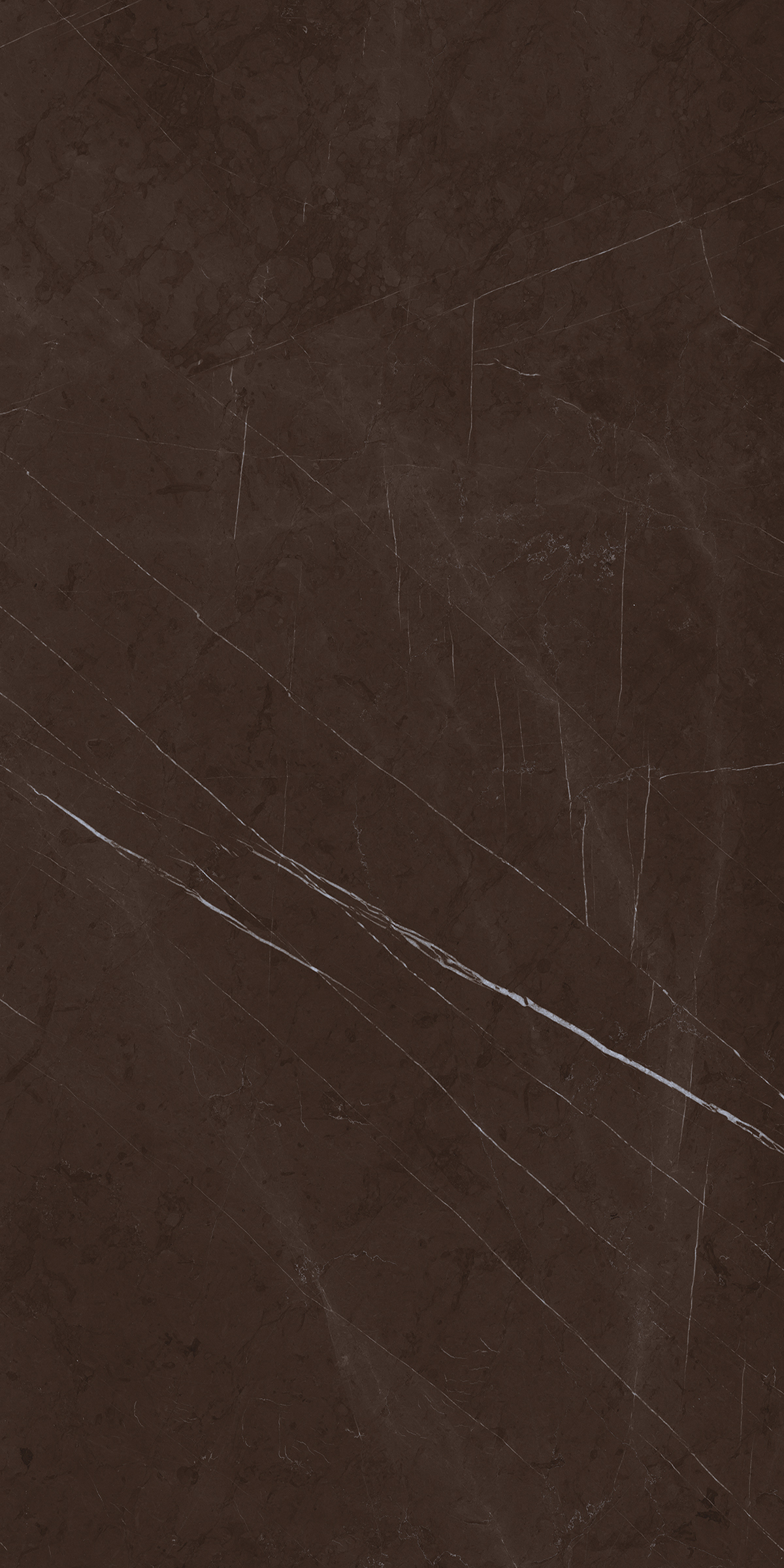 Florence Brown 800x1600mm High Glossy Porcelain Tile