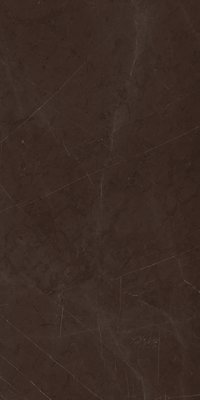 Florence Brown 800x1600mm High Glossy Porcelain Tile
