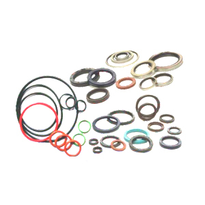 O Ring & Seals
