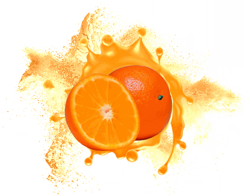 Spray Dried Orange Powder