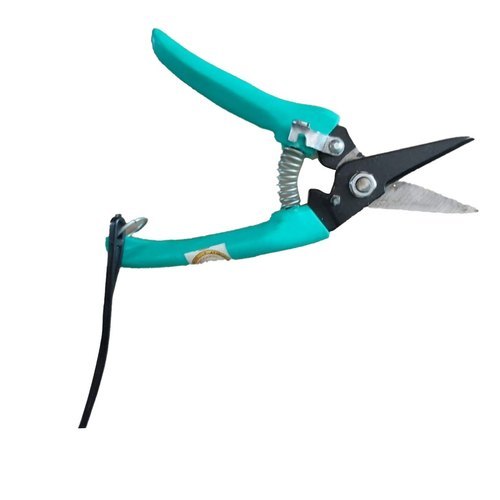 Pruning Shear
