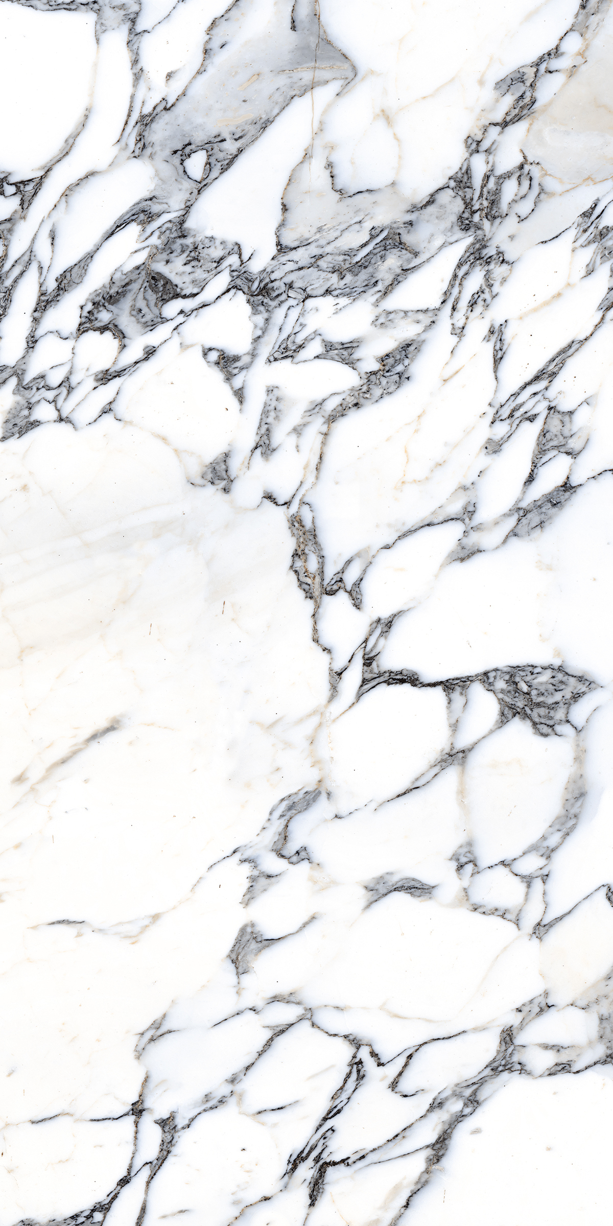 Onice 800X1600MM High Glossy Porcelain Tile