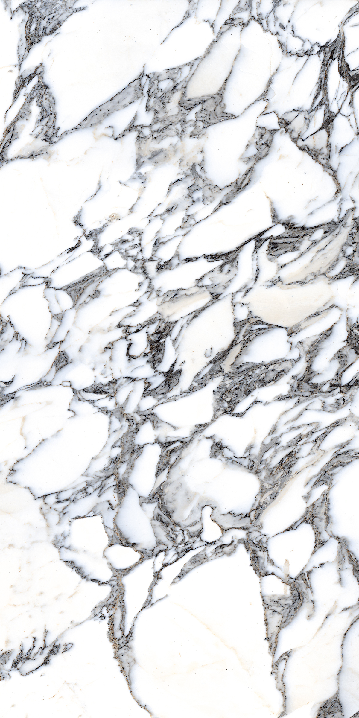 Onice 800X1600MM High Glossy Porcelain Tile