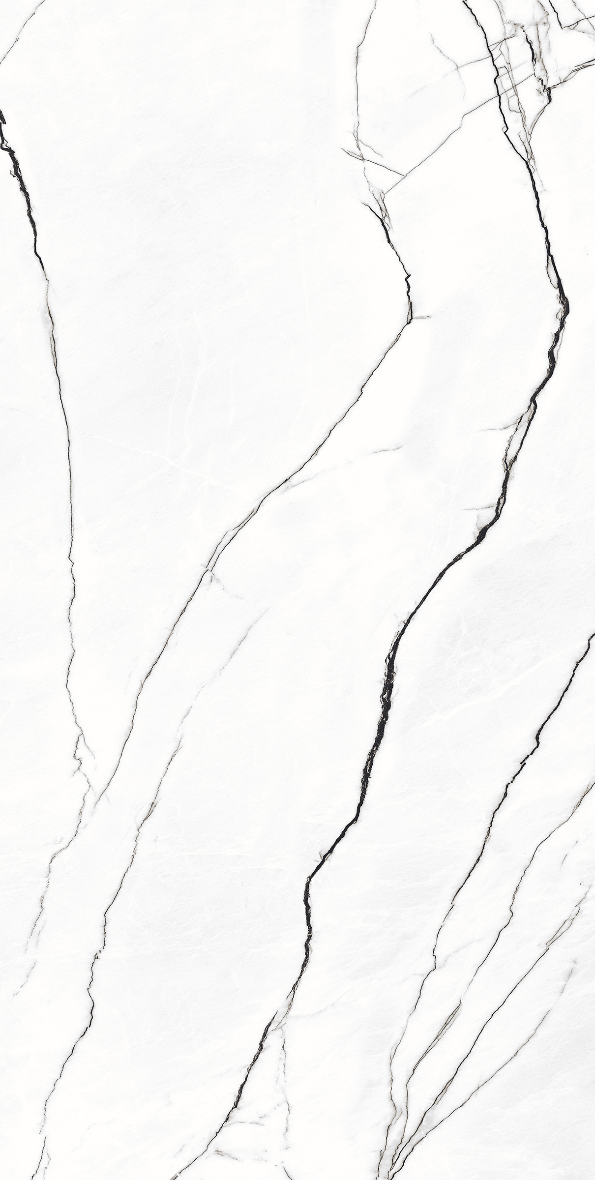Retina Blanco 800X1600MM High Glossy Porcelain Tile