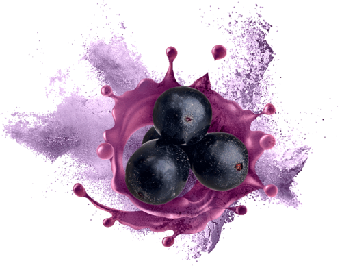 Pink Color Black Grape Powder ( Spray Dried ) Food Grade