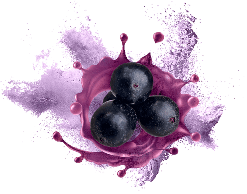 Black Grape Powder ( Spray Dried ) Food Grade