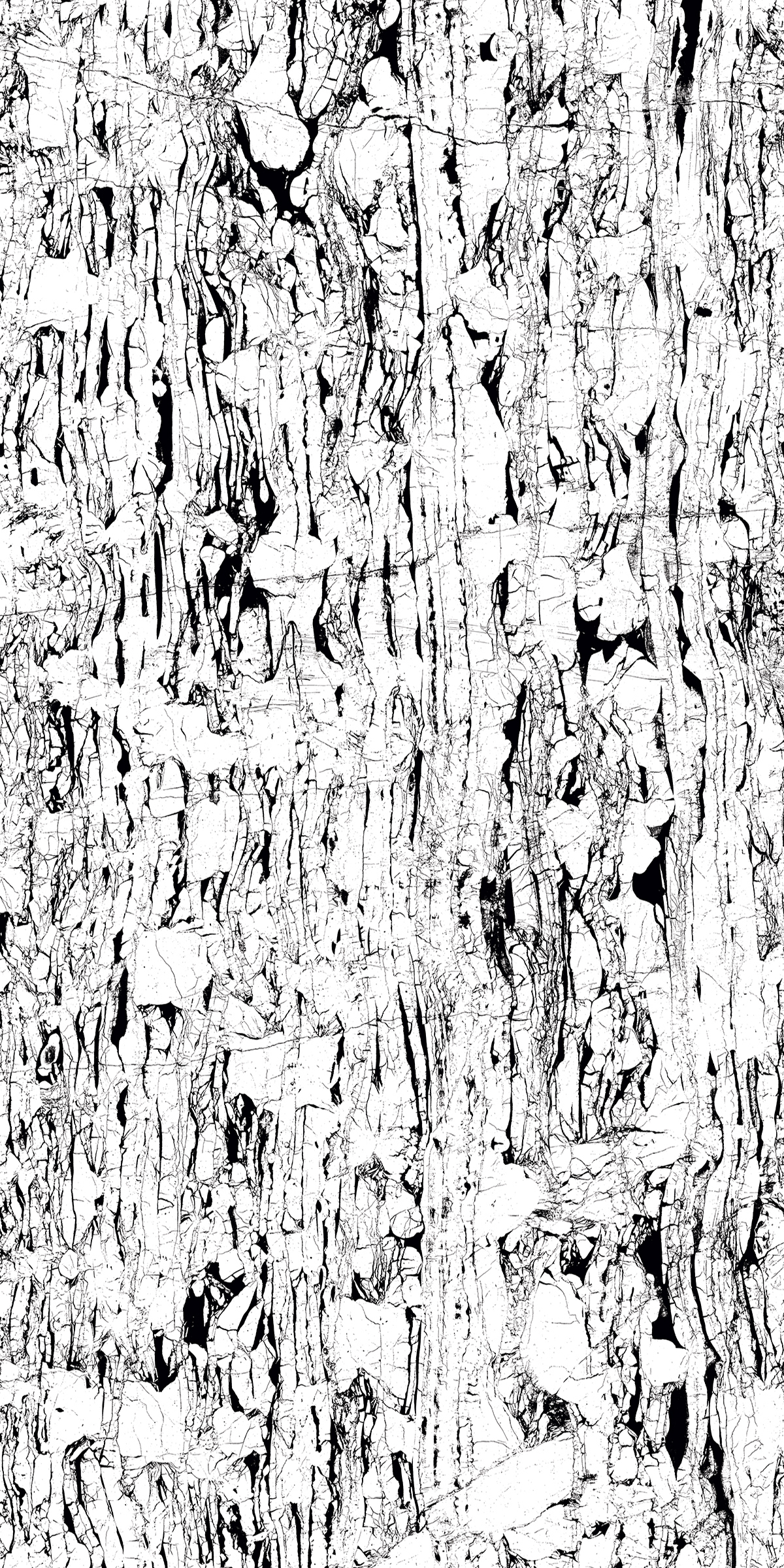 WHITE RIVERA 800X1600MM HIGH GLOSSY PORCELAIN TILE