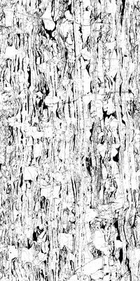 WHITE RIVERA 800X1600MM HIGH GLOSSY PORCELAIN TILE