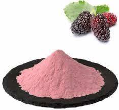 Mulberry Powder ( Spray Dried ) Food Grade Mulberry Powder ( Spray Dried ) Food Grade