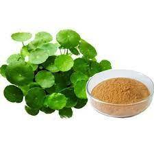 Brahmi Extract