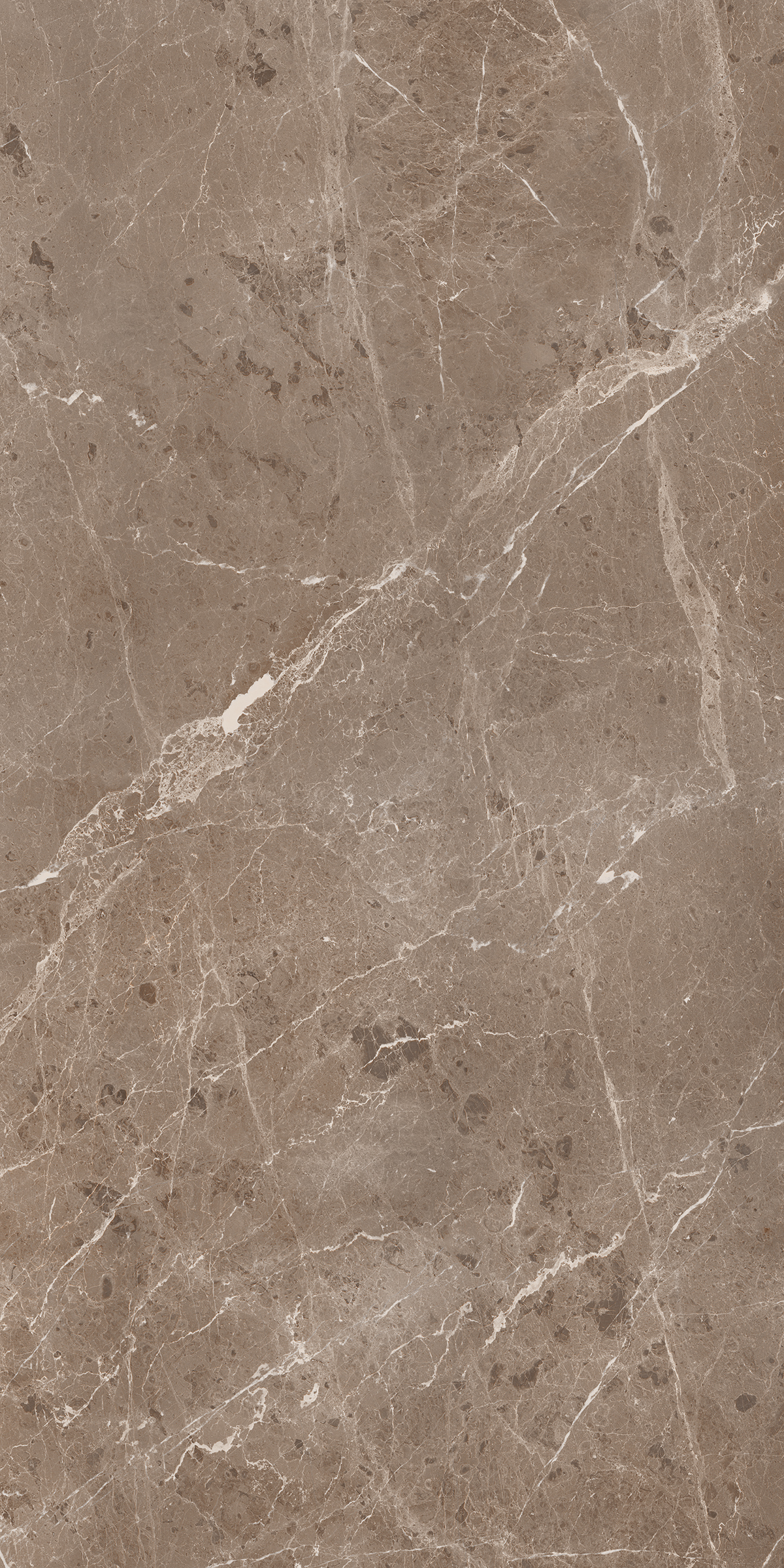 BULLBERRY CHOCO 800X1600MM GLOSSY PORCELAIN TILE