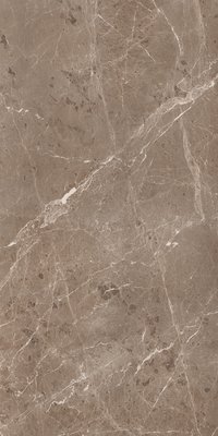 BULLBERRY CHOCO 800X1600MM GLOSSY PORCELAIN TILE
