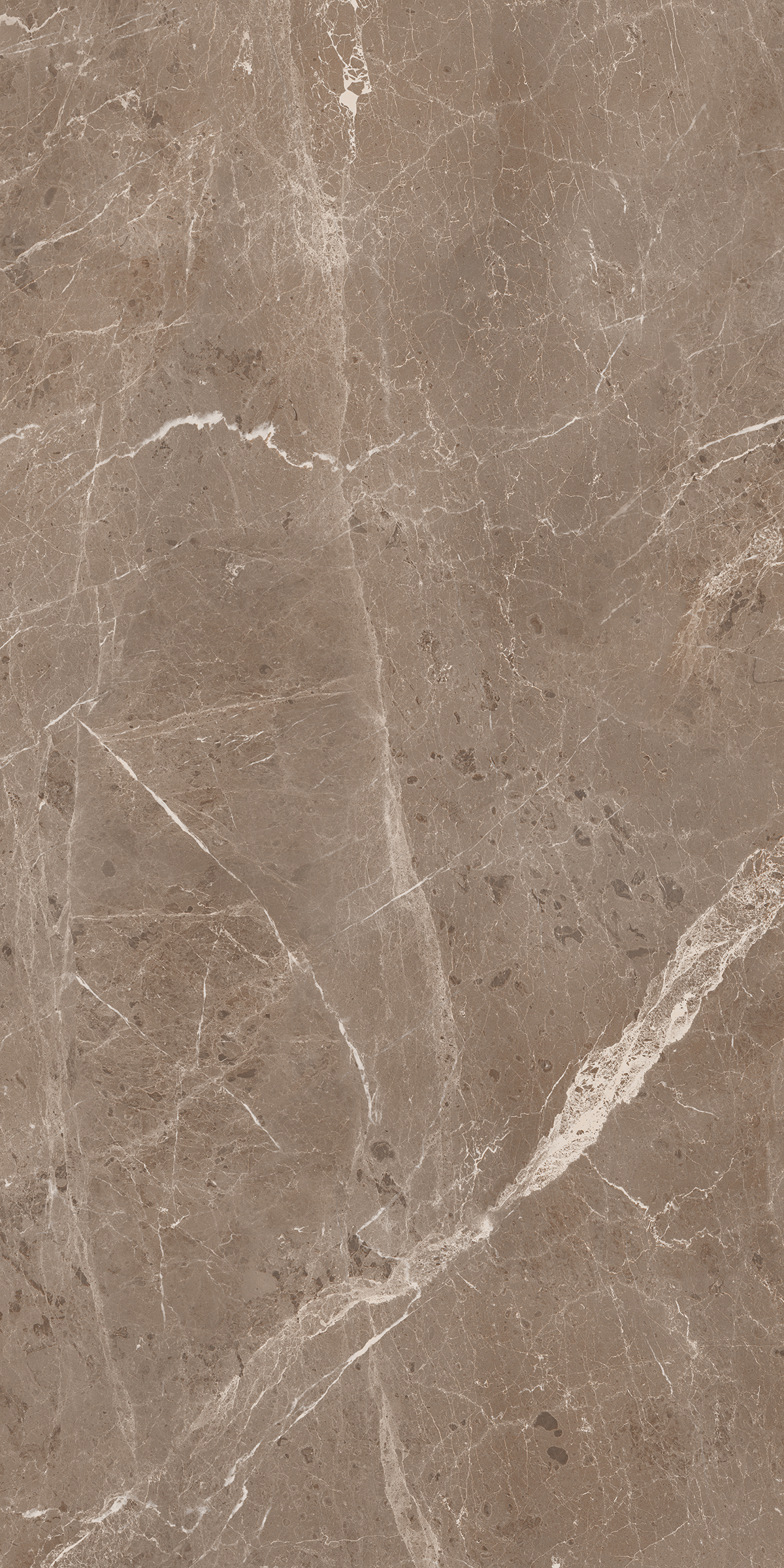 BULLBERRY CHOCO 800X1600MM GLOSSY PORCELAIN TILE