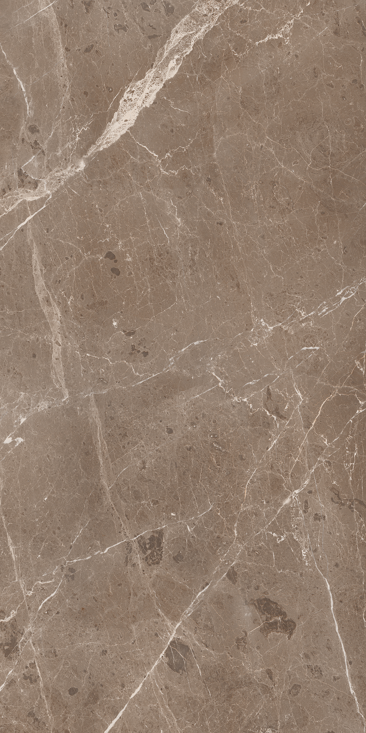 BULLBERRY CHOCO 800X1600MM GLOSSY PORCELAIN TILE