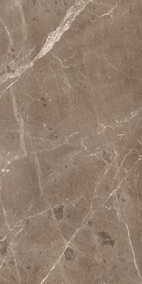 BULLBERRY CHOCO 800X1600MM GLOSSY PORCELAIN TILE