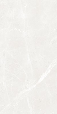 BULLBERRY GREY 800X1600MM GLOSSY PORCELAIN TILE