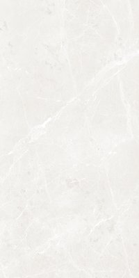 BULLBERRY GREY 800X1600MM GLOSSY PORCELAIN TILE