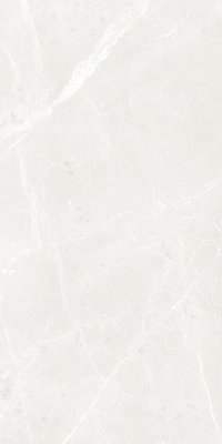 BULLBERRY GREY 800X1600MM GLOSSY PORCELAIN TILE