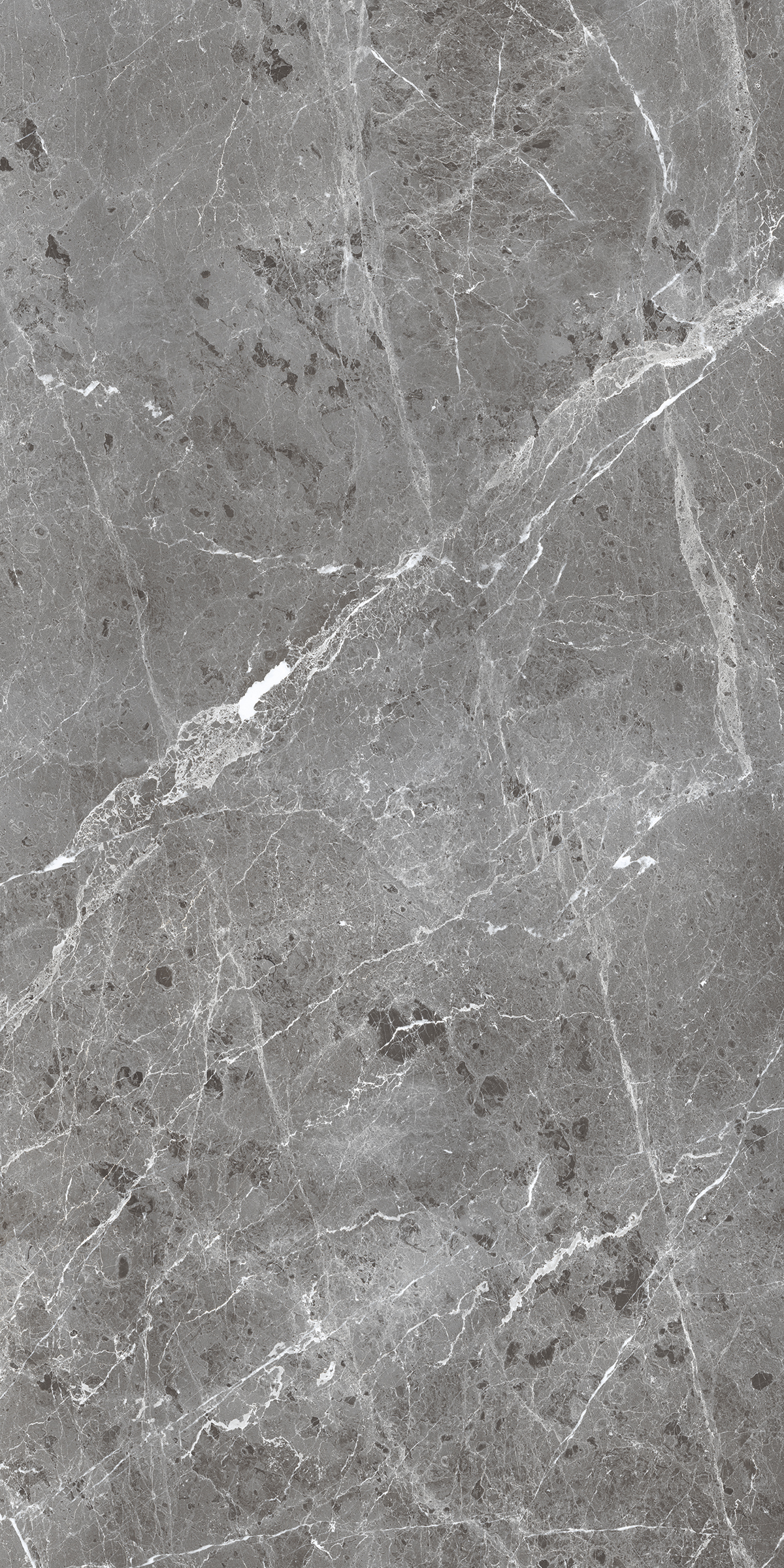 BULLBERRY GRIS 800X1600MM GLOSSY PORCELAIN TILE