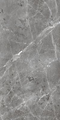 BULLBERRY GRIS 800X1600MM GLOSSY PORCELAIN TILE