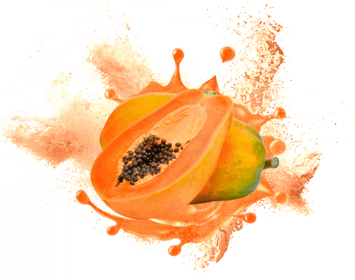 Papaya Dry Extract