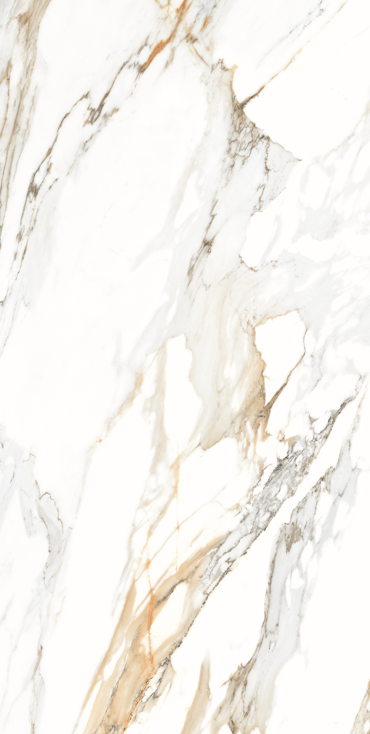 CALACATTA LUX 800X1600MM GLOSSY PORCELAIN TILE