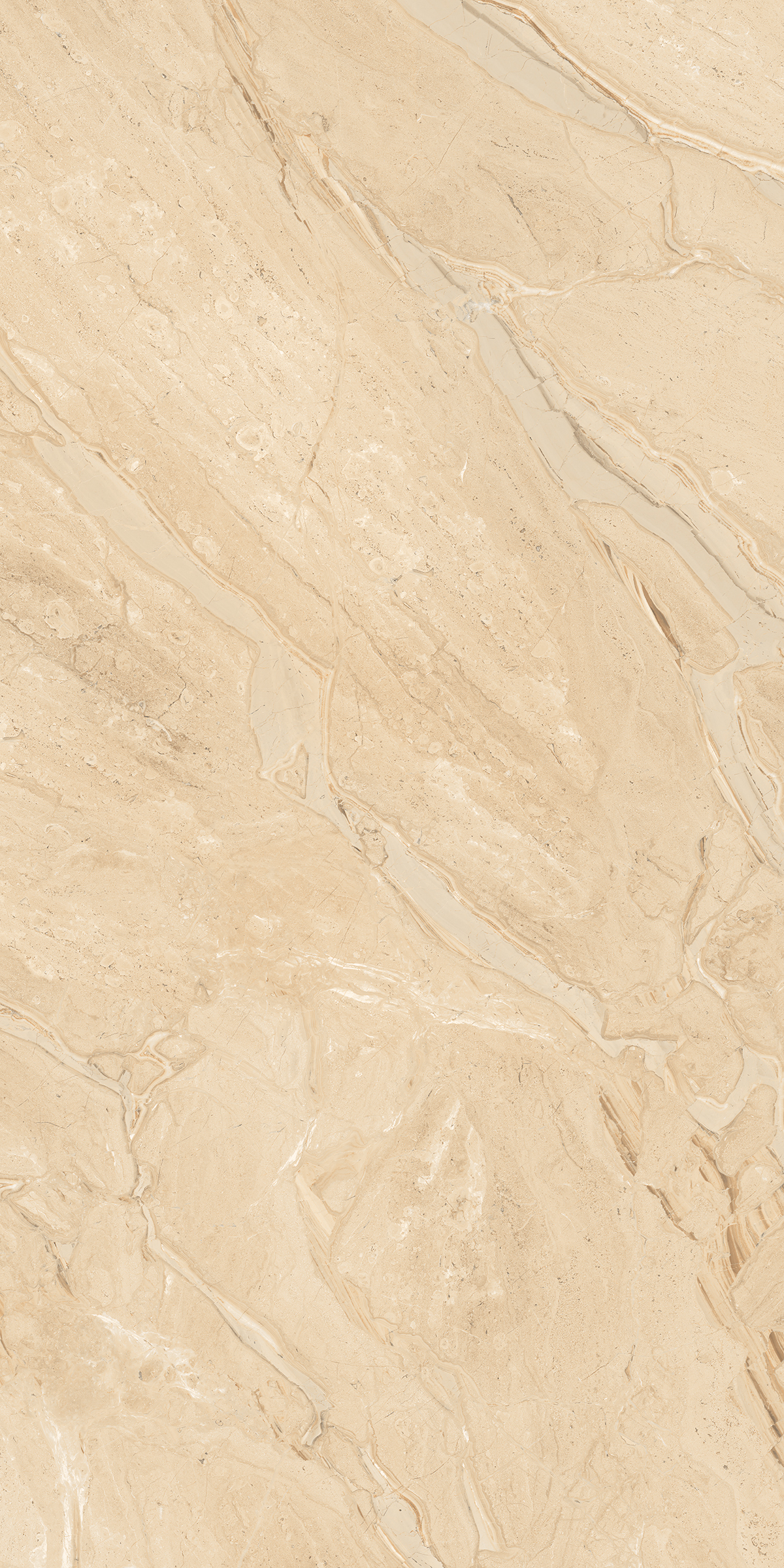 Cambridge Dyna 800x1600mm Glossy Porcelain Tile
