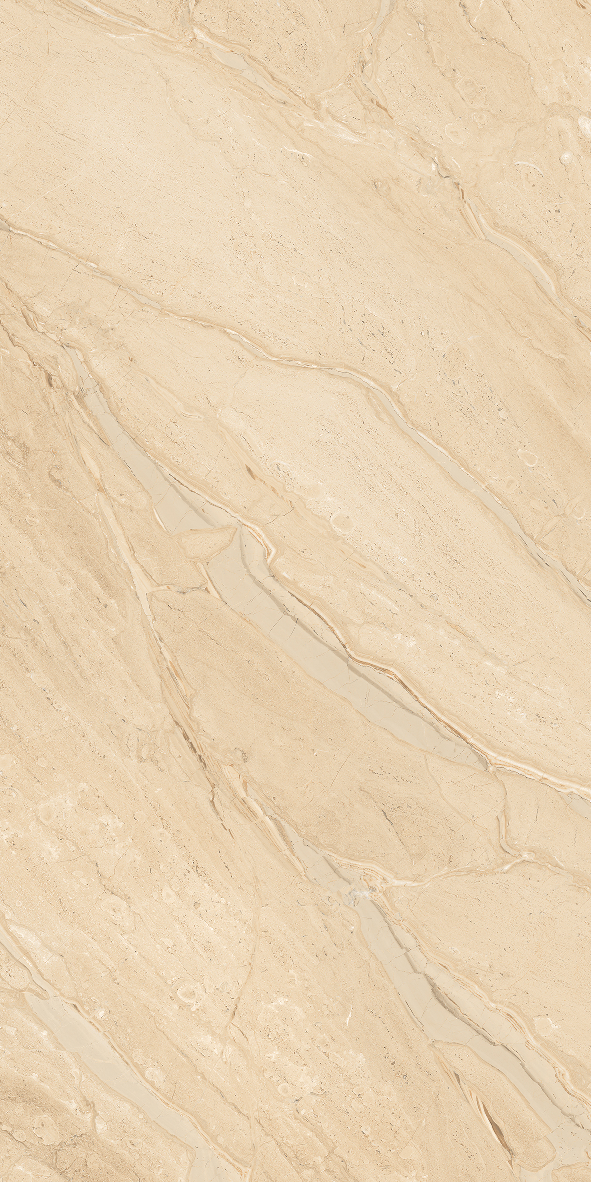 Cambridge Dyna 800x1600mm Glossy Porcelain Tile