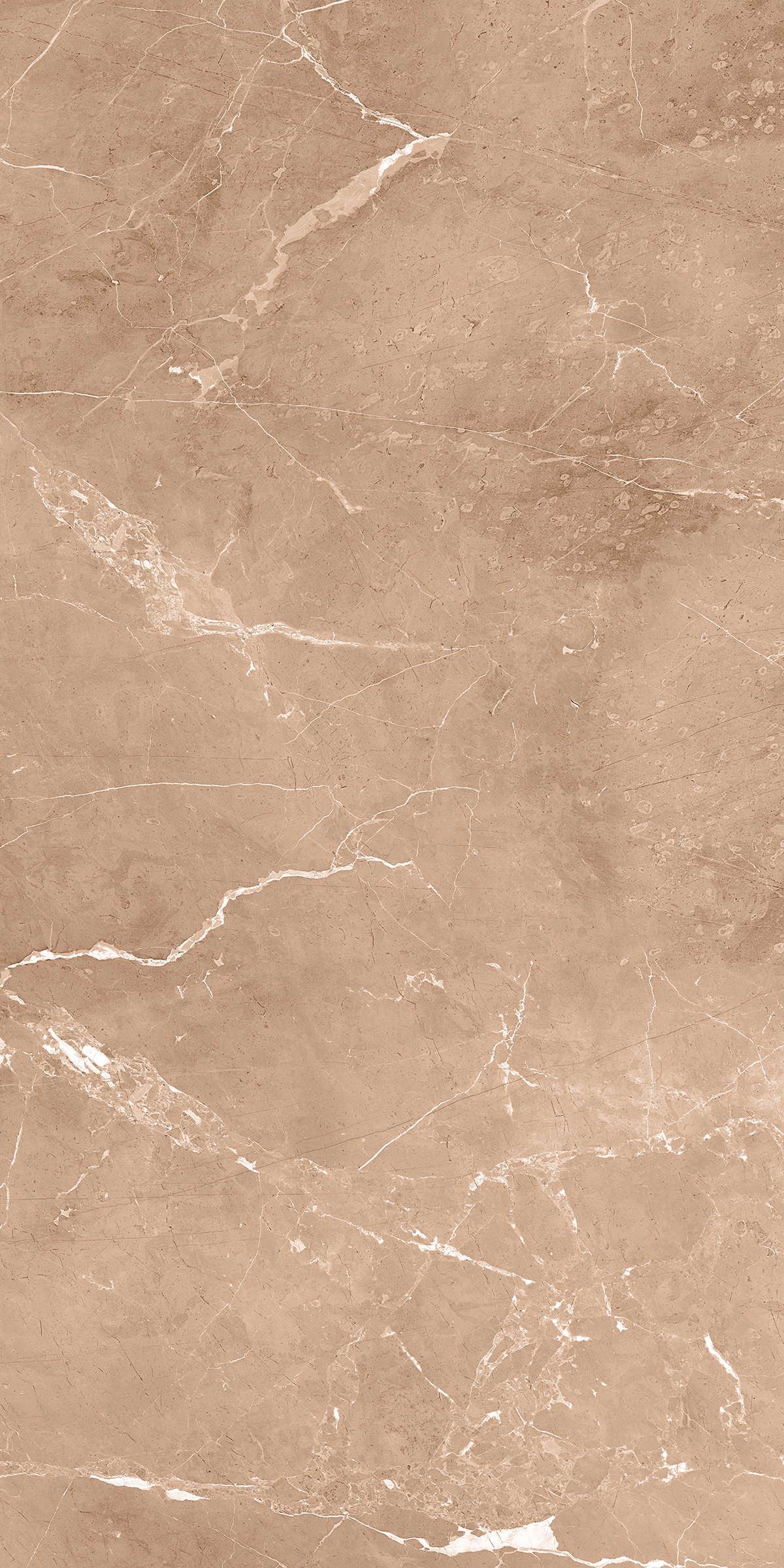 Cerribean Brown 800x1600mm Glossy Porcelain Tile