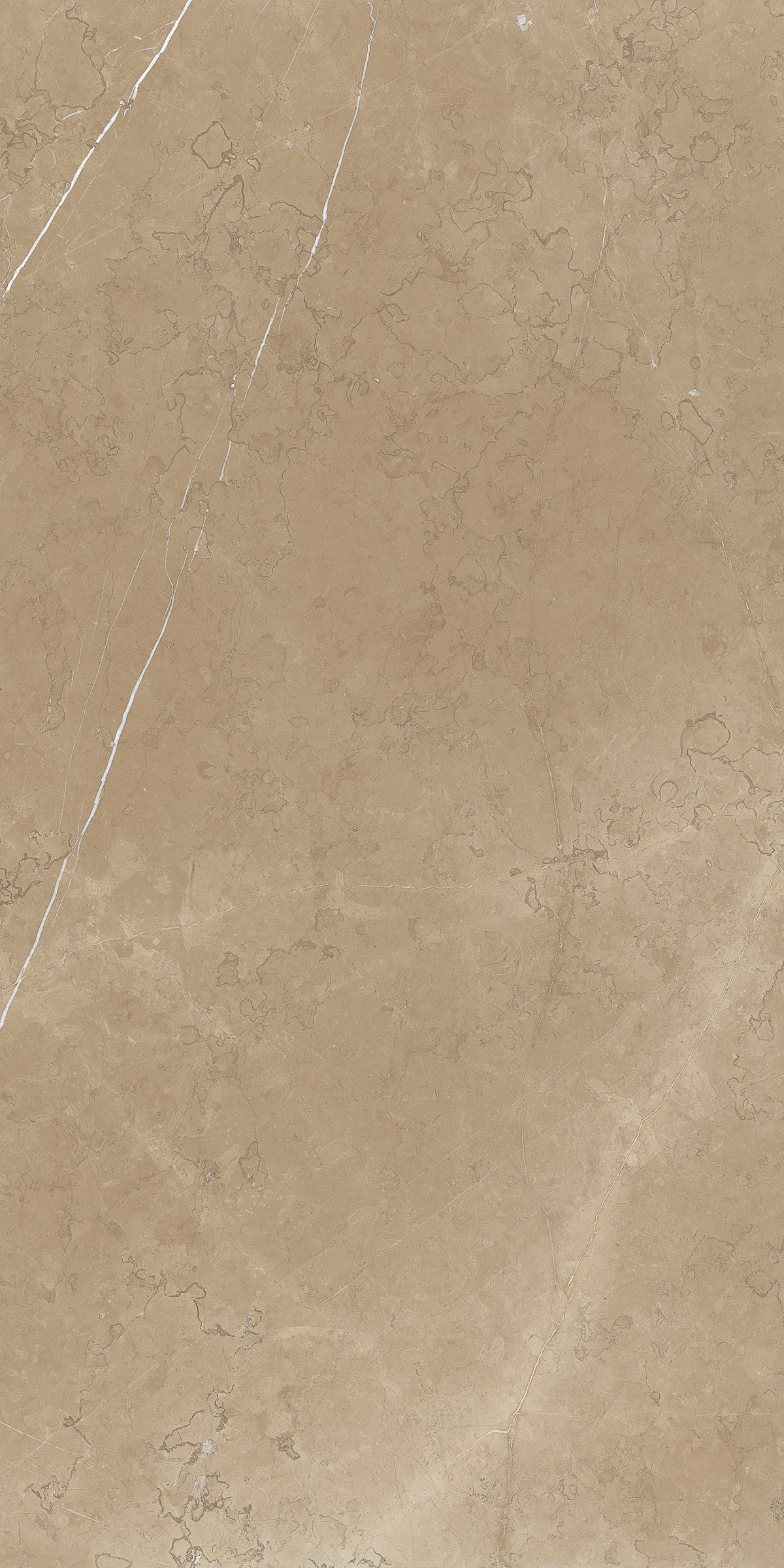 CLUSTER NATURAL 800X1600MM GLOSSY PORCELAIN TILE