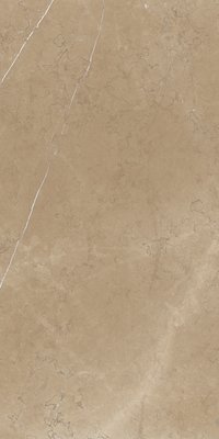 CLUSTER NATURAL 800X1600MM GLOSSY PORCELAIN TILE