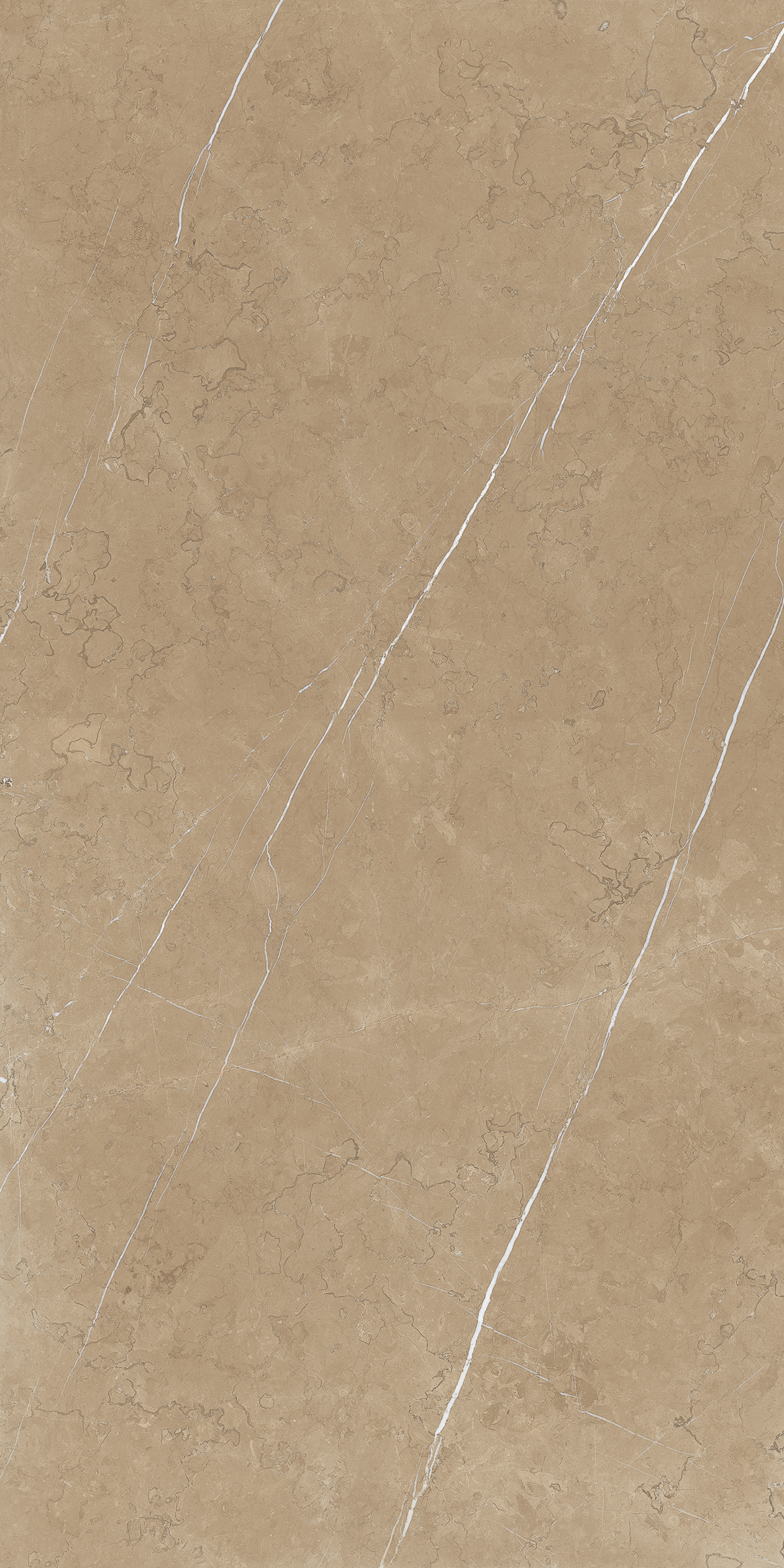 CLUSTER NATURAL 800X1600MM GLOSSY PORCELAIN TILE