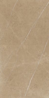 CLUSTER NATURAL 800X1600MM GLOSSY PORCELAIN TILE