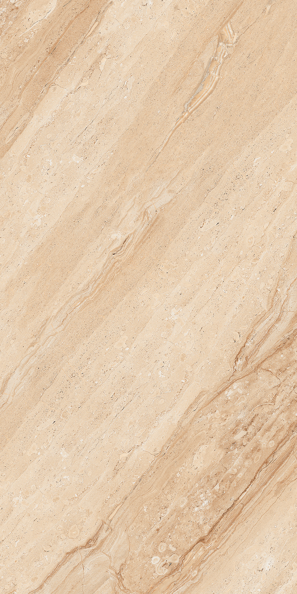 Dahino Delia 800x1600mm Glossy Porcelain Tile