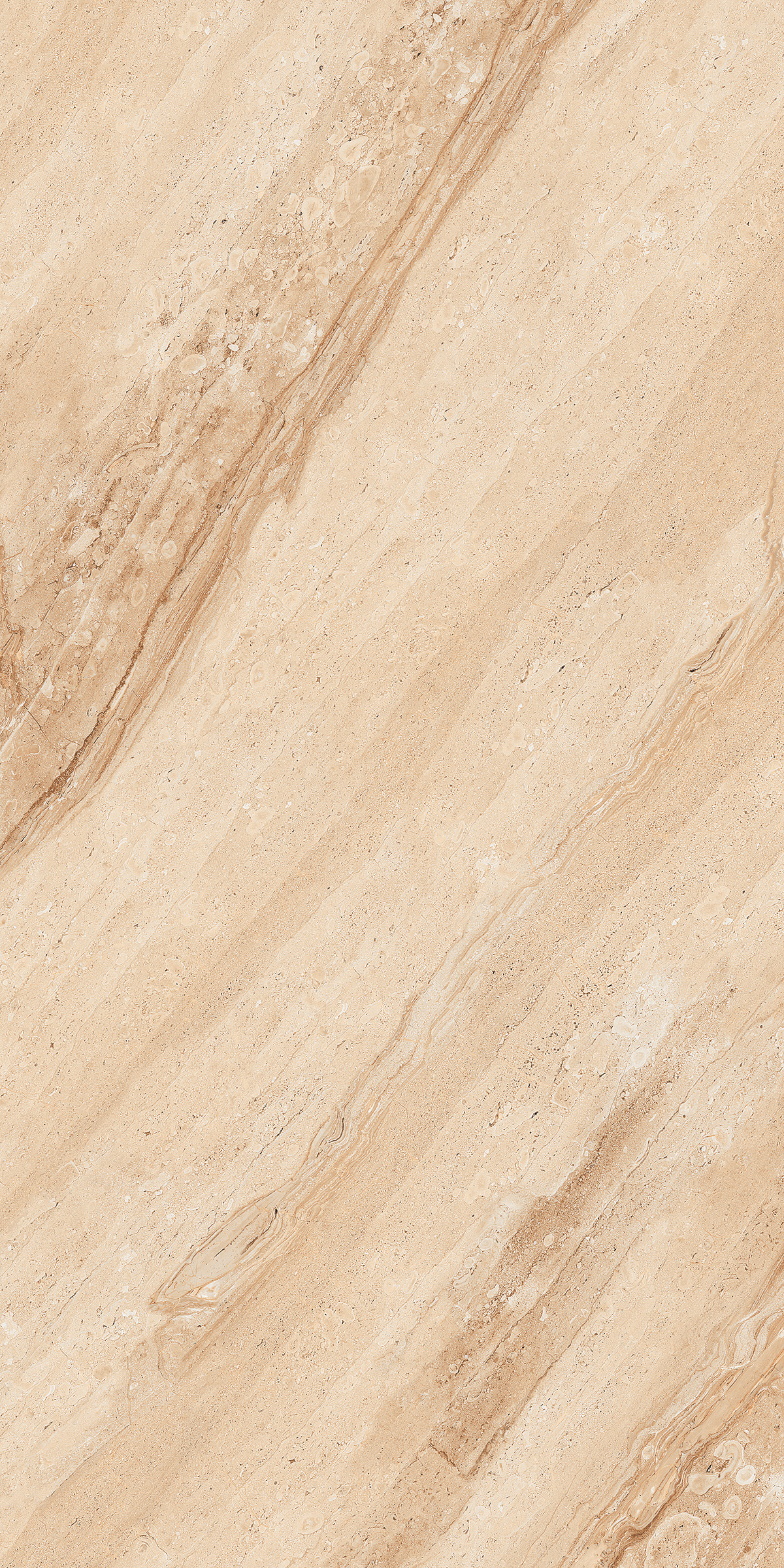 Dahino Delia 800x1600mm Glossy Porcelain Tile