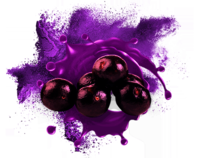 Blueberry Juice Powder ( Spray Dried ) Food Grade