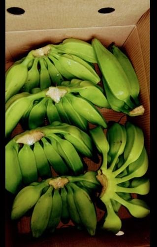 Green Banana