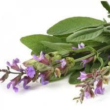 Clary Sage Natural Blend Oil Age Group: All Age Group