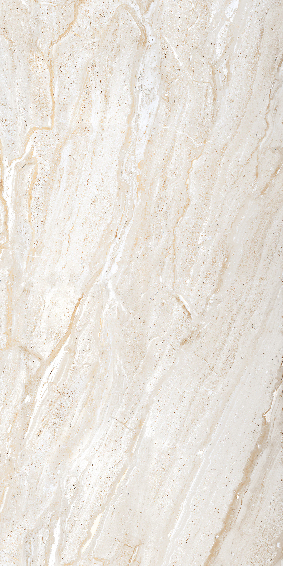 Dyna Collin 800x1600mm Glossy Porcelain Tile