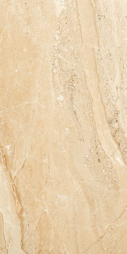 Brown Dyna Delicate 800X1600Mm Glossy Porcelain Tile