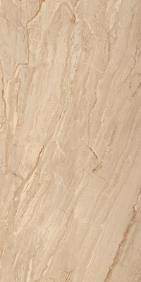 DYNA MOSH 800X1600MM GLOSSY PORCELAIN TILE