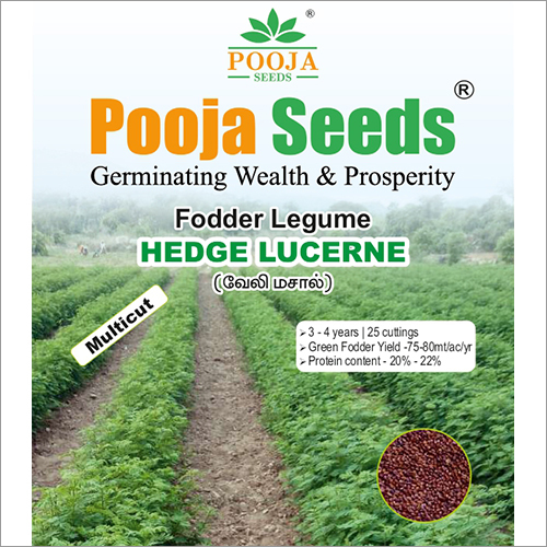 Fodder Legume Seeds