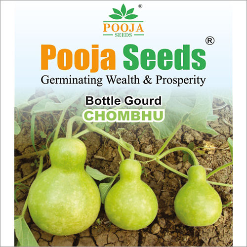 Chombhu Bottle Gourd Seeds