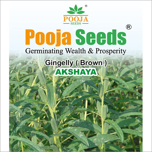 Akshaya Brown Gingelly Seeds