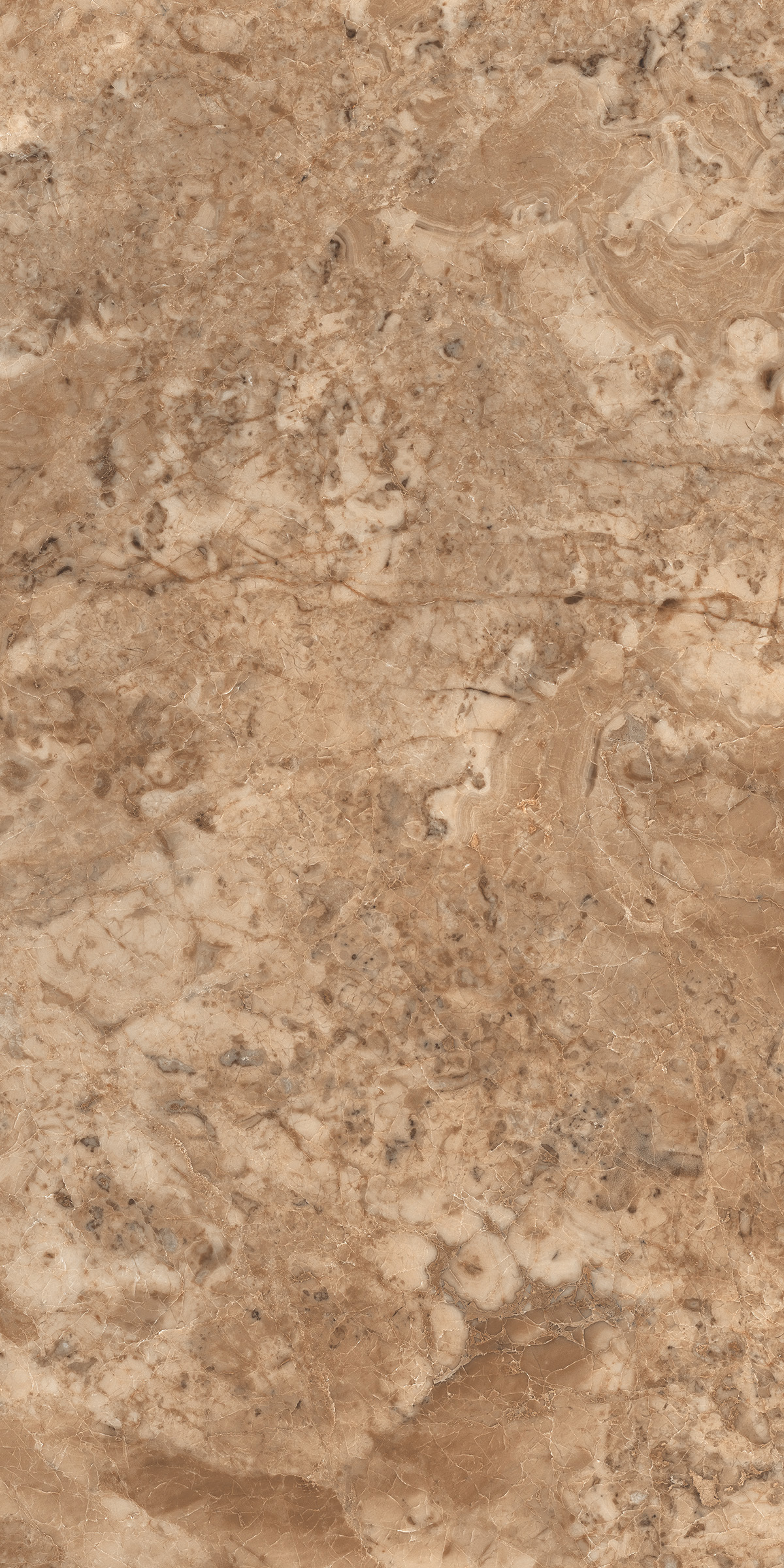 Empro Brown 800X1600MM Glossy Porcelain Tile