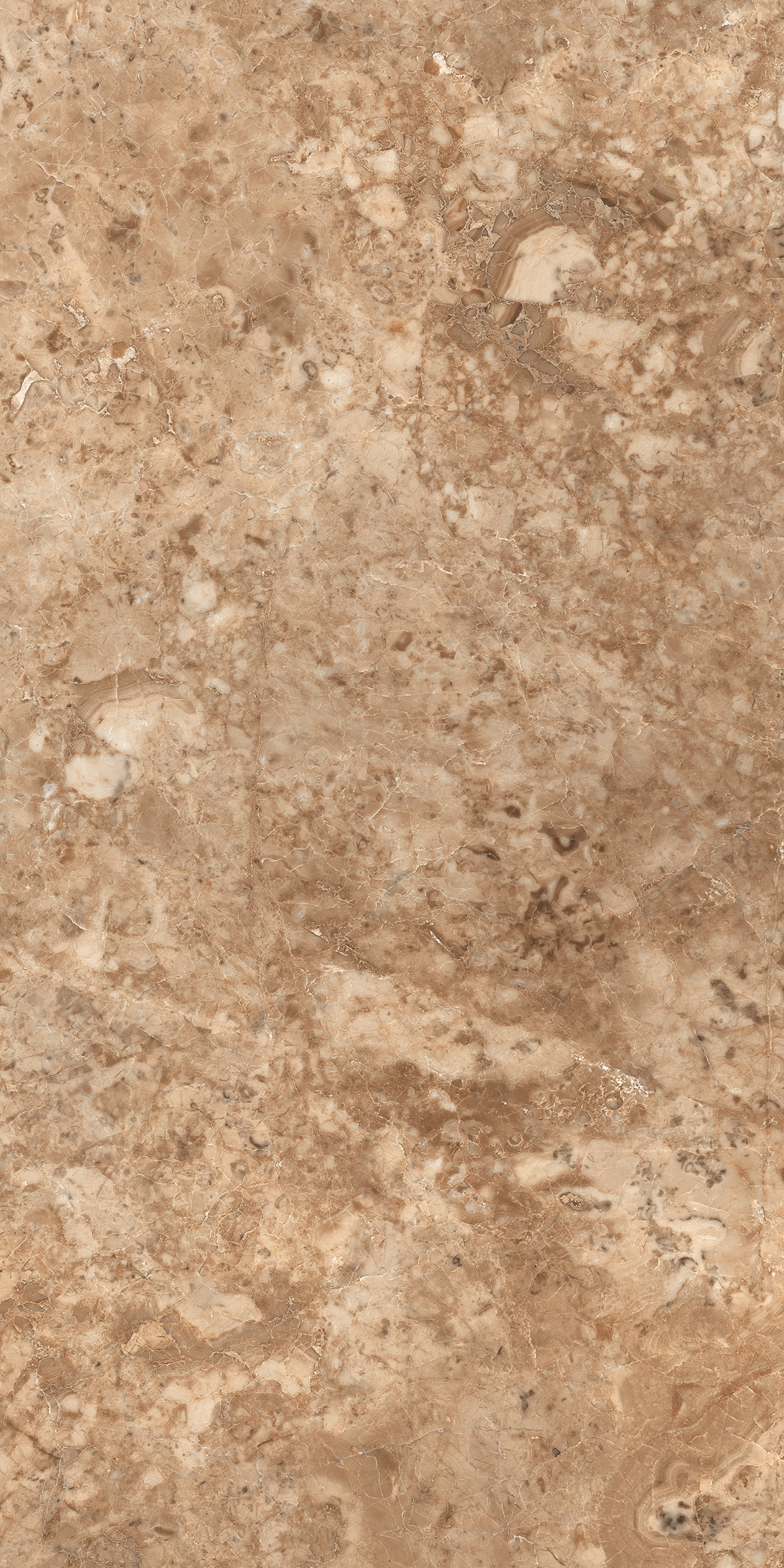 Empro Brown 800X1600MM Glossy Porcelain Tile
