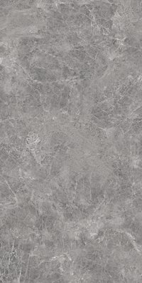 Empro Gris 800X1600MM Glossy Porcelain Tile